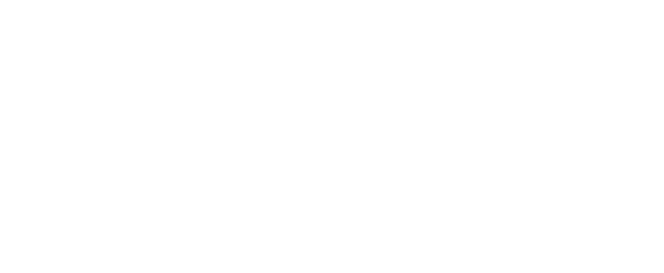 everydays_logo