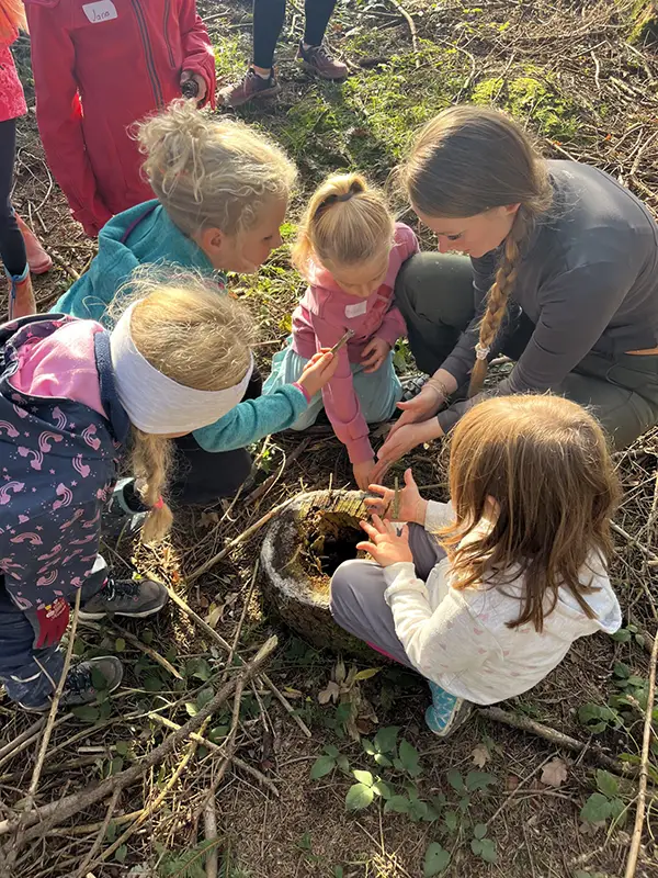 waldtage_alex_krenn waldtage_alex_krenn